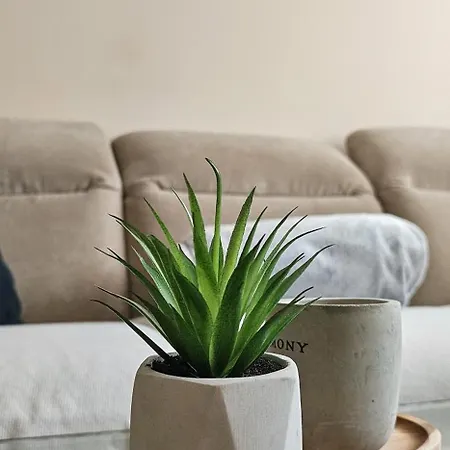 Apartment Bella Istria *