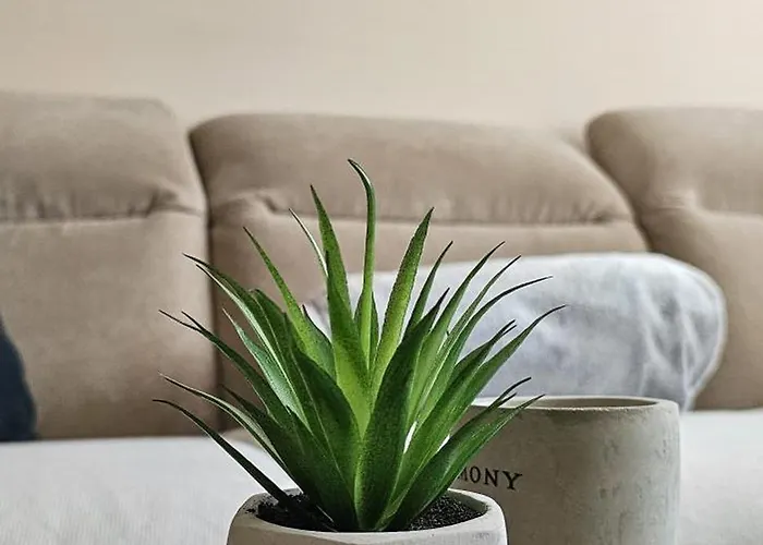 Lejlighed Bella Istria *